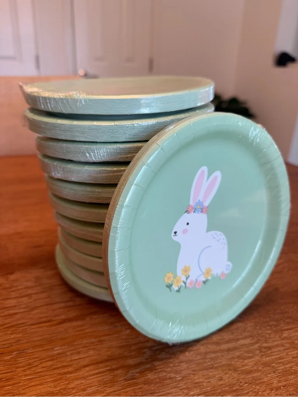Spritz Mint Green Bunny Paper Plates with Pastel Floral Accents